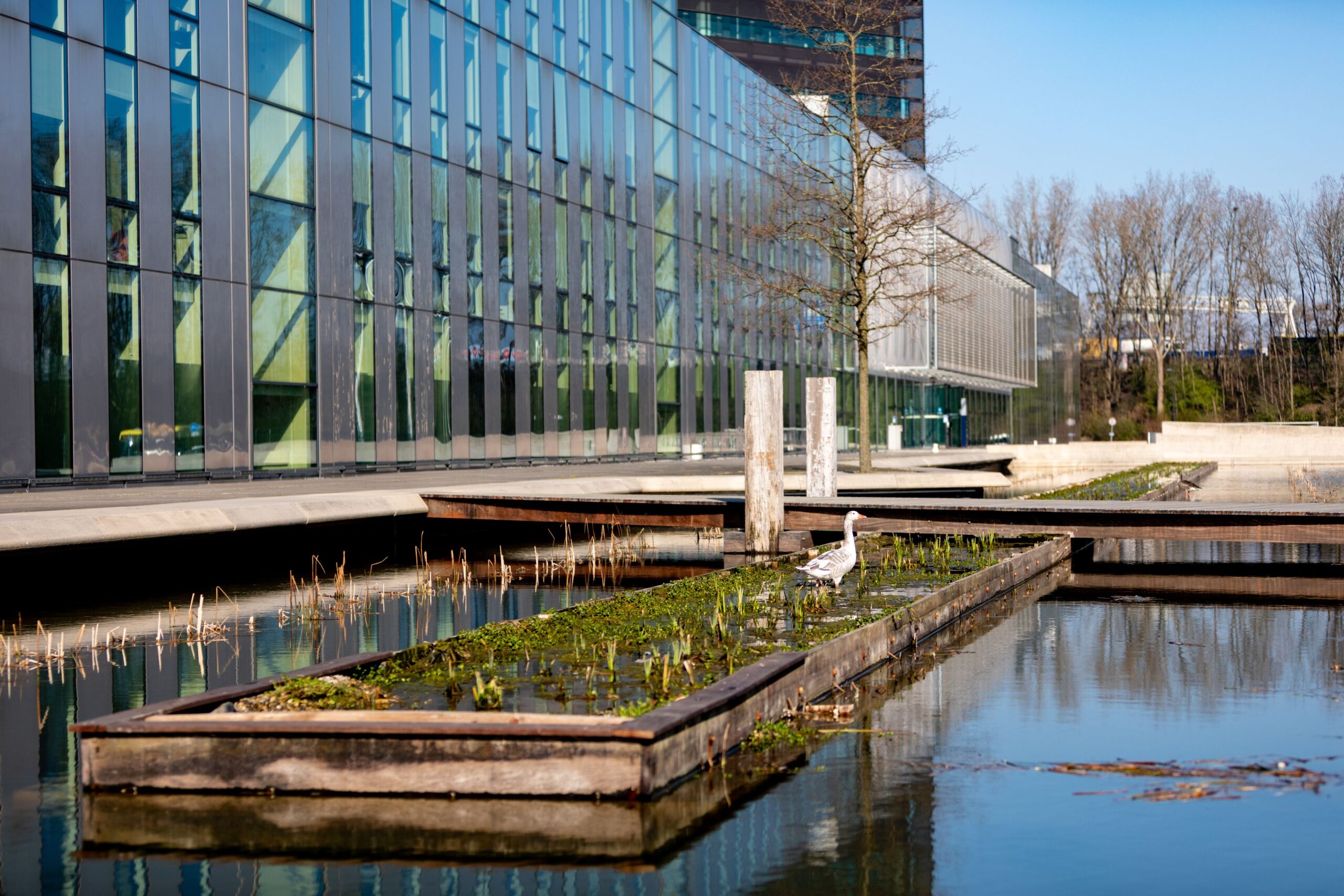 Handleiding streefbeelden stadswateren Eindhoven